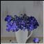 Blauer Blumenstrauss